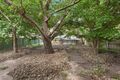 Property photo of 117 Mount Ettalong Road Umina Beach NSW 2257