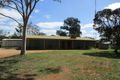 Property photo of 110 Caddy Road Barmera SA 5345