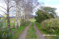 Property photo of 89 Iles Road Barrington TAS 7306