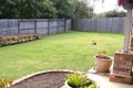 Property photo of 14 Darren Close Victoria Point QLD 4165