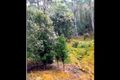 Property photo of 100 Valley Road Collinsvale TAS 7012