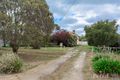 Property photo of 7 Wright Street Skipton VIC 3361