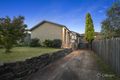 Property photo of 11 Clangula Court Endeavour Hills VIC 3802