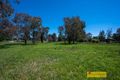 Property photo of 295 Putta Bucca Road Bombira NSW 2850