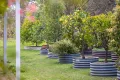 Property photo of 59 Bullecourt Road Bittern VIC 3918