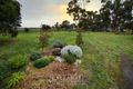 Property photo of 20 Andrew Street Skipton VIC 3361