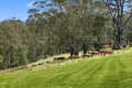 Property photo of 260 Rockleigh Road Exeter NSW 2579