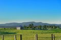 Property photo of 20 Arran Circuit Largs NSW 2320