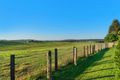 Property photo of 20 Arran Circuit Largs NSW 2320