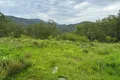 Property photo of 3460 Nowendoc Road Caffreys Flat NSW 2424