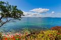 Property photo of 34 Flinders Esplanade Taroona TAS 7053