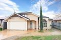 Property photo of 42 Willis Street Rooty Hill NSW 2766