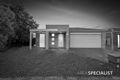 Property photo of 17 Conondale Street Tarneit VIC 3029