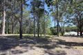 Property photo of 11 Caryota Place Forster NSW 2428