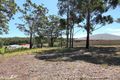 Property photo of 11 Caryota Place Forster NSW 2428