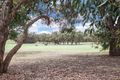 Property photo of 22 Fairway Drive Anglesea VIC 3230