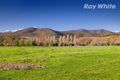 Property photo of 3751 Omeo Highway Eskdale VIC 3701
