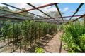 Property photo of 380 Warrandyte Road Langwarrin South VIC 3911