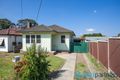 Property photo of 53 Dorothy Street Chester Hill NSW 2162