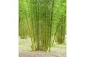 Property photo of 1106 Mungar Road Mungar QLD 4650