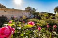 Property photo of 14 Colin Street Loxton SA 5333