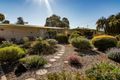 Property photo of 14 Colin Street Loxton SA 5333