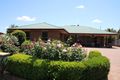Property photo of 50 Villarette Avenue Narrabri NSW 2390