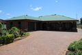 Property photo of 50 Villarette Avenue Narrabri NSW 2390