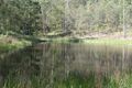 Property photo of 20 Frames Road Tabulam NSW 2469