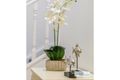 Property photo of 12 Vaucluse Place Mansfield QLD 4122