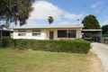 Property photo of 11 English Street Bordertown SA 5268