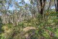 Property photo of 17 Chatsworth Road Mount Victoria NSW 2786