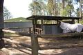 Property photo of 35 Clyde Essex Drive Gulmarrad NSW 2463