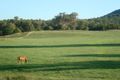 Property photo of 4251 Elcombe Road Bingara NSW 2404