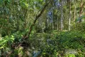 Property photo of 35 Lake Macdonald Drive Cooroy QLD 4563