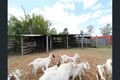 Property photo of 162 Guppys Road Eureka QLD 4660