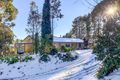Property photo of 347 Old Canobolas Road Nashdale NSW 2800
