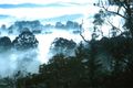 Property photo of 15 Red Hill Road Monbulk VIC 3793