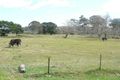Property photo of 12 Racecourse Road Bermagui NSW 2546
