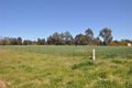 Property photo of 11527 The Escort Way Forbes NSW 2871