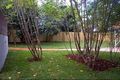 Property photo of 59 Essex Street Epping NSW 2121