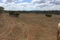 Property photo of 238 Ferguson Road West Stowe QLD 4680