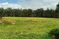 Property photo of 54 Leavy Road Waroona WA 6215