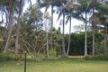 Property photo of 4 Cedar Street Mullumbimby NSW 2482