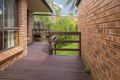 Property photo of 10 Runnyford Road Nelligen NSW 2536