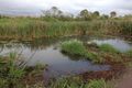 Property photo of 56 Mill Road Cordalba QLD 4660