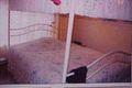 Property photo of 14 Sawyer Crescent Mount Barker SA 5251