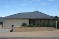 Property photo of 27 McLean Street Berri SA 5343