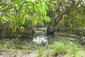 Property photo of 5 Fuchsia Court Bushland Beach QLD 4818