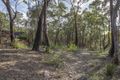 Property photo of 200 Chapman Parade Faulconbridge NSW 2776